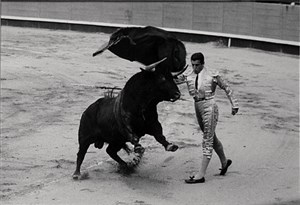 Image description is not available for 2010.019